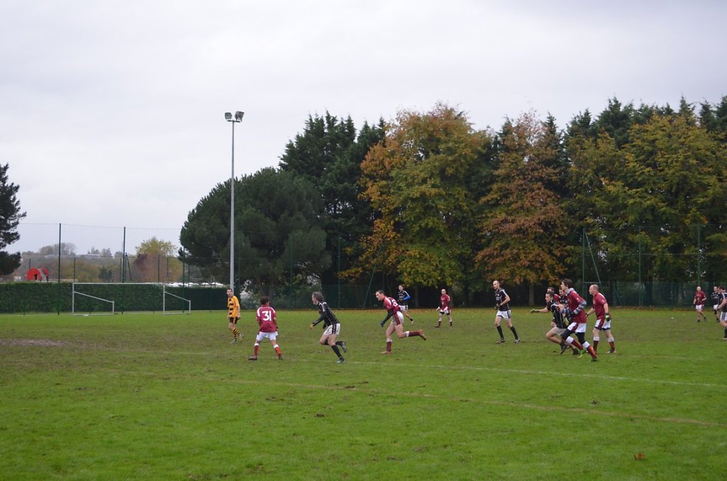 DSC-0183.JPG